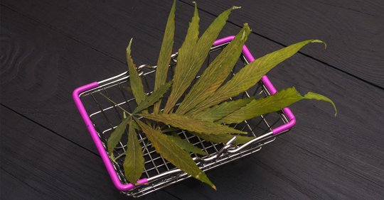 Dry cannabis leaves in a shopping basket