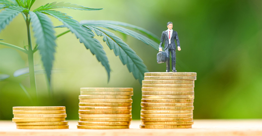 Business cannabis stock