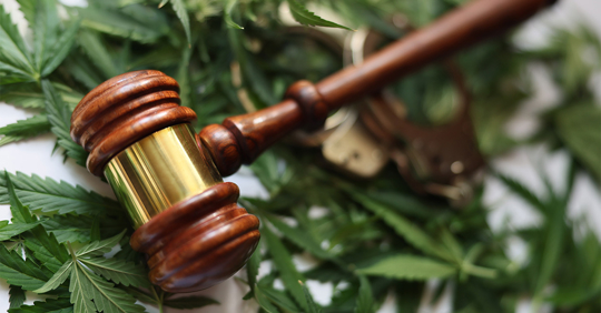 Judge wooden gavel and handcuffs on green marijuana leaves