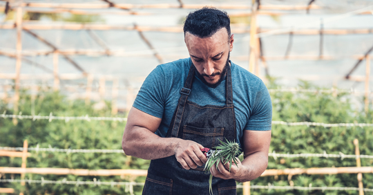 Marijuana Businesses