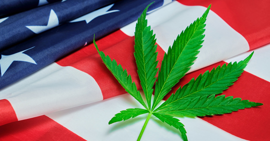 Marijuana Businesses