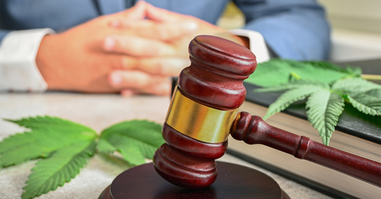 Cannabis Business Lawsuit