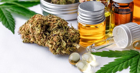 Green leaves of medicinal cannabis with extract oil