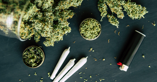 Cannabis Regulations