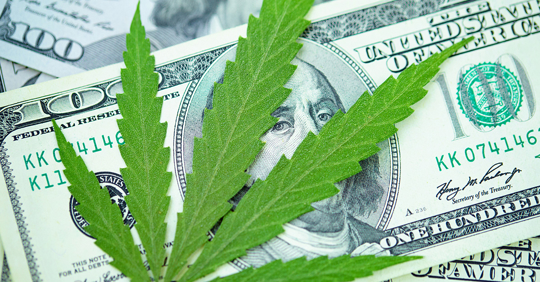 Cannabis Taxes