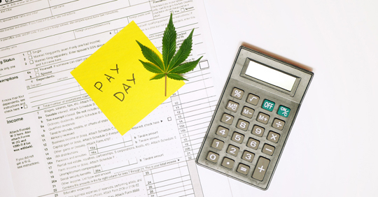 Calculating cannabis taxes