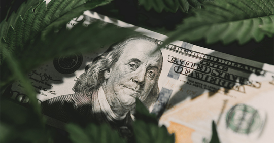 Cannabis Tax Reform