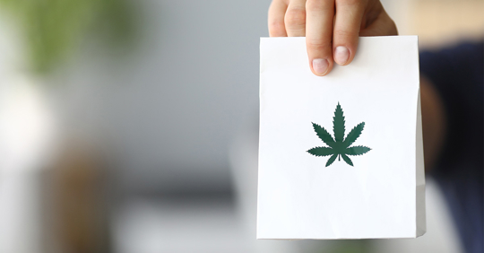 Marijuana Delivery Services