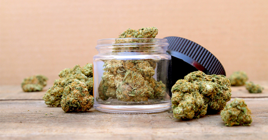 Marijuana in Open Jar Surrounded by Buds