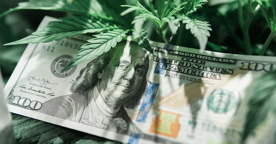 Marijuana Tax