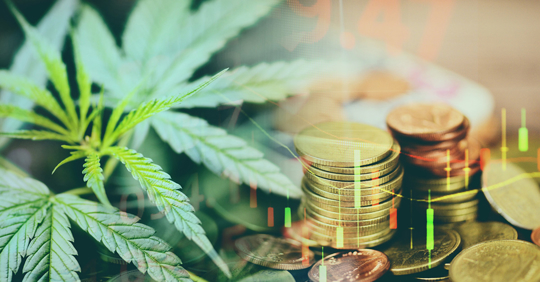 cannabis marijuana market