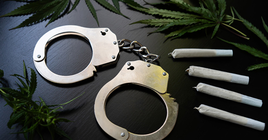 illegal use and cultivation of marijuana