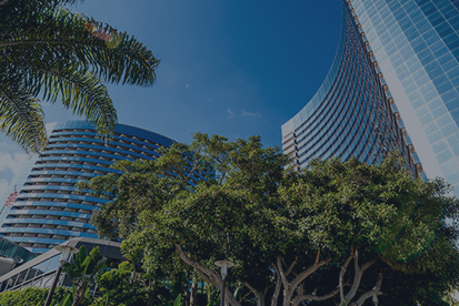 Real Estate Litigation & Contracts